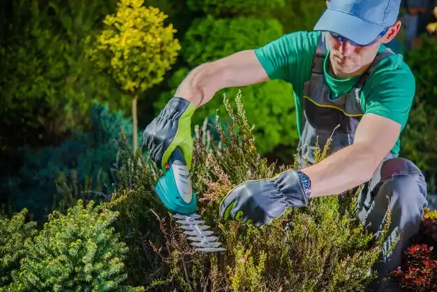 landscaping services Pheasant Run